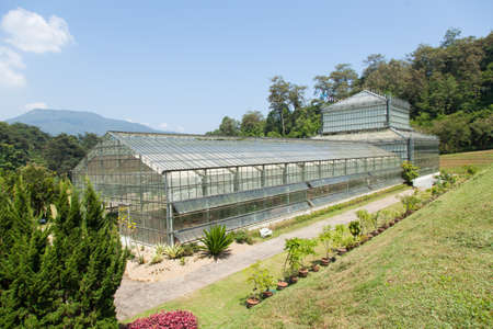 Building plants cultivation arranged for the collection of plant speciesのeditorial素材