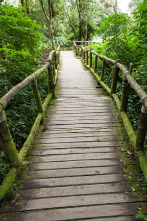 Wooden bridge made â€‹â€‹from old wooden bridge. Side of the bridge is covered with dense...