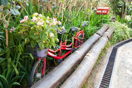 Garden decorations Of trees, shrubs in the garden area.の写真素材