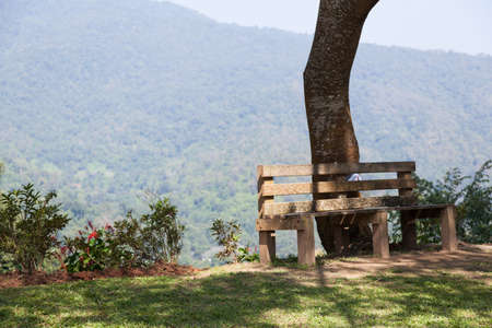 Bench under the tree Behind a high mountain covered with trees.の写真素材