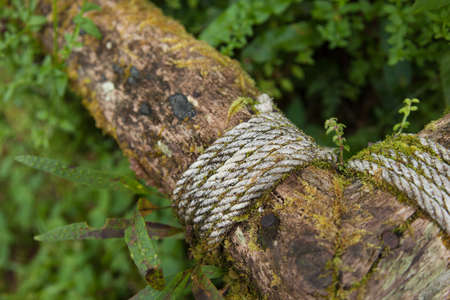 Rope timber Attached to the abdomen for a footbridge.の写真素材