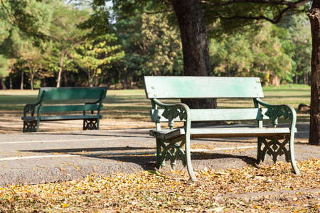 Bench located by walkway Leaf drop has leaked on the floor. Within the parkの写真素材