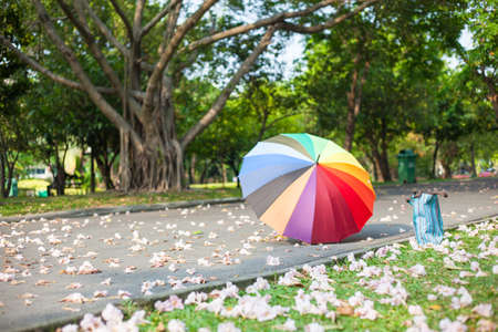umbrella on walkway There are bag on the lawn In area parkの写真素材