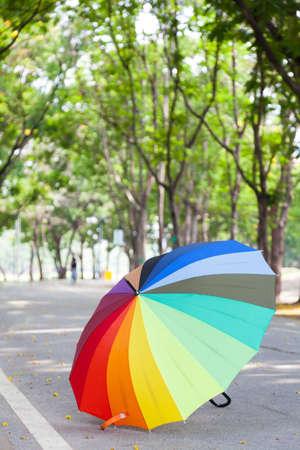 Multicolored umbrella on the sidewalk. Within the park areaの写真素材