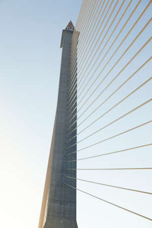 Rama VIII Bridge in the morning