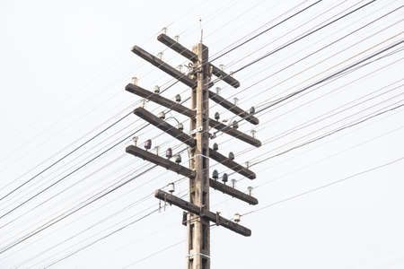 telegraph pole antenna's cable systems. Communication older systems obsolete.の写真素材