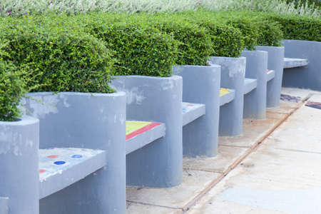 Benches made of concrete A dwarf shrubs in the garden decorations.の写真素材
