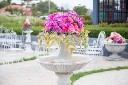 Potted flowers With trees and flowers in pots. Is placed in the garden to decorate the garden.の写真素材