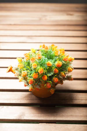 Vase flower pot. Placed on a table made of wood inside the house.の写真素材