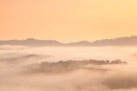 Fog covered mountains and forest in the morning. Northern Thailand is cold and cool in the morning.の写真素材