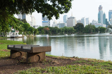 Bench in the park Under the big tree at pool Park in the city with high buildings の写真素材