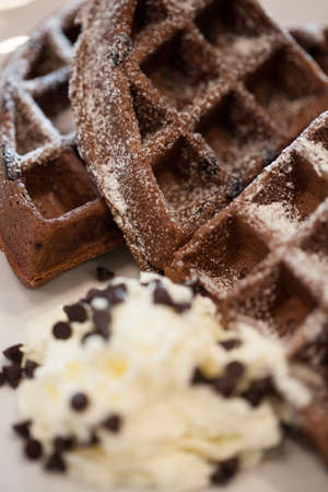 Waffle chocolate. Cut into small strips arranged on the plate and cream.の写真素材