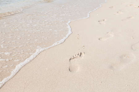 Footprints on the beach. Footsteps of people walking on the beach by the sea.の写真素材