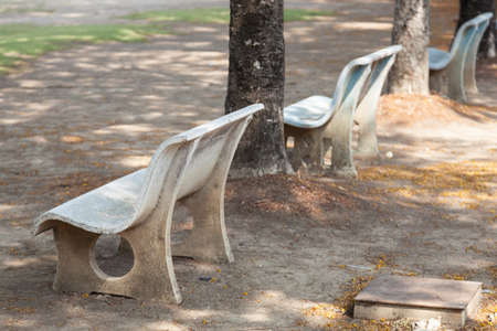 Bench under a tree. Bench in the park under a tree.の写真素材