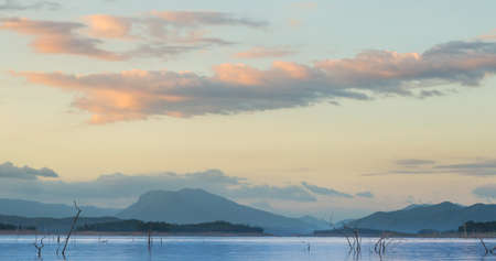 Dry tree dead in dam Trees were flooded in the embankment.の写真素材