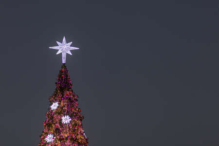 Lighting of the Christmas tree. At the peak of the Christmas tree decorated with lights during the night.の写真素材