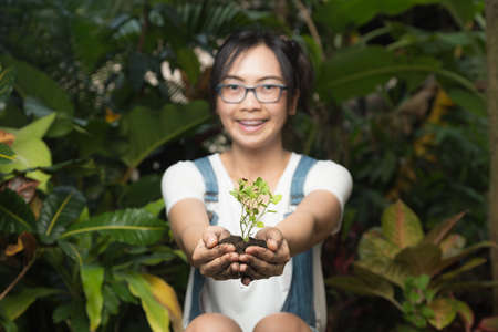 Woman holding and caring for trees. Maintaining the natural tree. Environmental in natureの写真素材