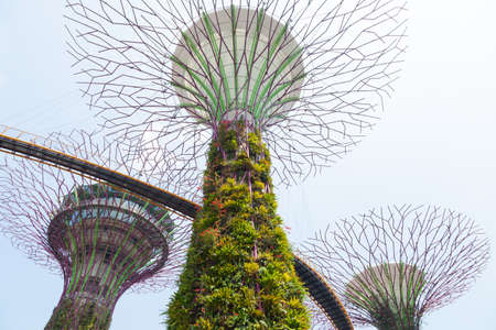 SINGAPORE - APRIL 10, 2016: Supertree Grooves over the blue sky. Supertree Grooves located in Garden...