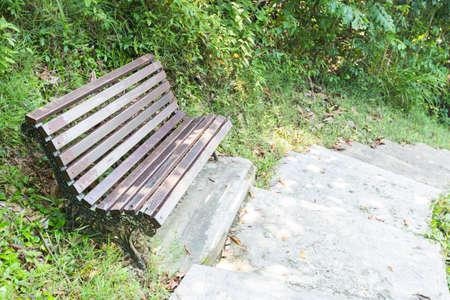 Bench along sidewalk in the park. Space walk during the holidays.の写真素材