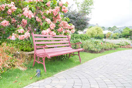 Bench in the park Benches along the pathway in the garden for relaxation.