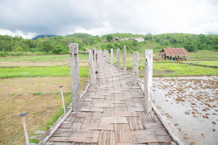 Su Tong Pae bridge Bamboo bridge, the longest in the world. Created through the rice fields to Temple.の写真素材