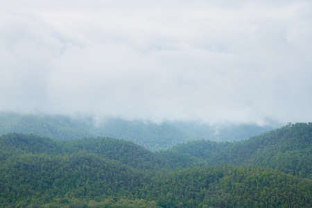 Mountains and forests are cloud covered. After the rainの写真素材
