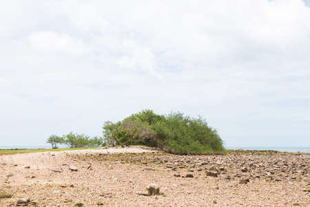 Rocky beach by the sea. Small stones on the sea.の写真素材