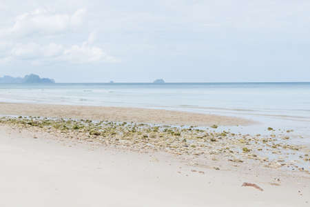 Sea and sand beach. Clear skies and crystal clear waters. Sea Thailand