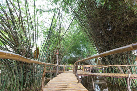 Wooden bridge walkway made of bambooの写真素材