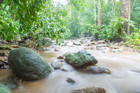 Brook freshwater flow through rock with mossy in tropical rainforestの写真素材