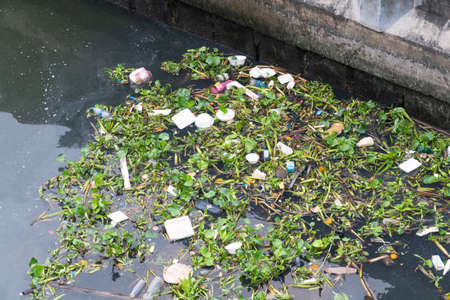 Garbage and weeds in the river. Environmental problems, waste water pollution