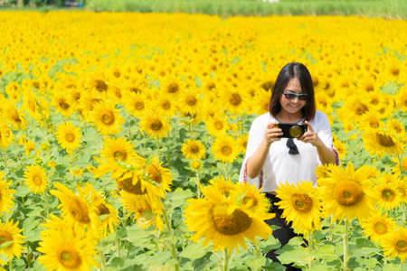 Asian woman take photo smartphone. Happy and relax holiday travel in sunflower field.の写真素材