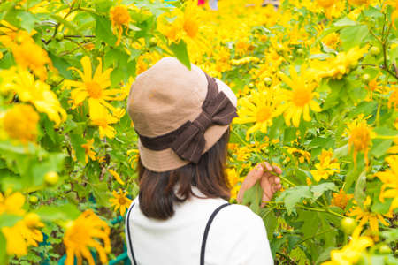 Asian woman traveler in holiday. Relax and happy in yellow flower field.の写真素材