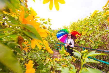 Asian woman hold multicolor umbrella. Relax and happy holiday travel in flower field.の写真素材