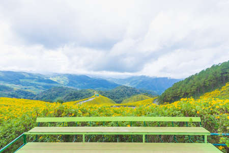 Stan of view point yellow flowers and mountain. Landmark landscape North of Thailand.の写真素材