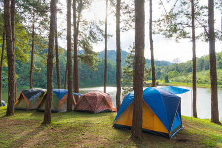 Camping tent on the grass On weekends in the park area