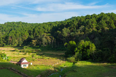 small house on the lawn. Background forest and sky cloud in season summer.の写真素材