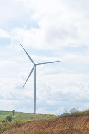 Wind turbines in the meadow A turbine used to generate electricity using wind energy.