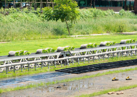Technology production for rice farm. line is used to transport rice plants in the area.の写真素材