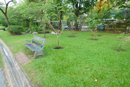 A serene park scene featuring metal bench on grassy lawn surrounded by young trees and shrubs. peaceful atmosphere invites relaxation and enjoyment of natureの写真素材