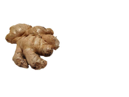 Fresh ginger on white background, herb medical conceptの写真素材