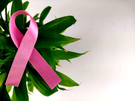Breast cancer awareness symbol pink ribbonの写真素材