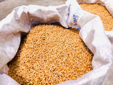 golden wheat kept plastic sack bag , Selective Focus.の写真素材