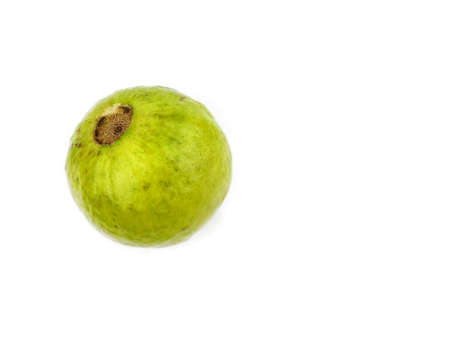 Amrud or Guava fruit isolated on white backgroundの写真素材