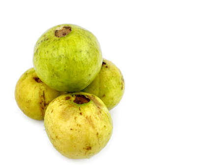 Amrud or Guava fruit isolated on white backgroundの写真素材