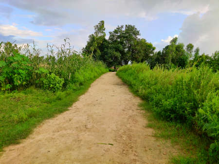 Unconstructed Village road in india made of Mud natural viewの写真素材