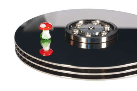 lucky hard disk with  fly agaric on it for succesful data recoveryの写真素材