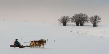 carriage drwan by two horses at a idyllic winter day with trees in the backの写真素材