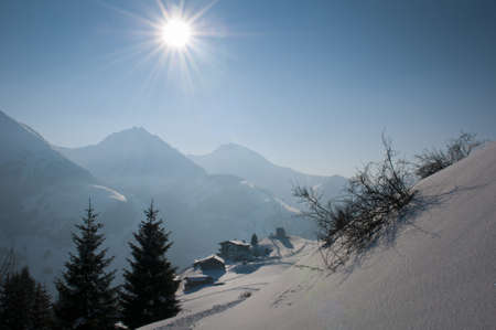 fresh snowy landscape in the alps of austria with mountains, trees and tracks in the snowの写真素材