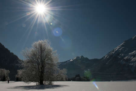 wonderful and dreamy winter scenery with a lot of snow, trees, sun and blue skyの写真素材